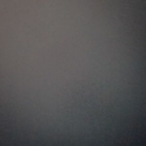 Meet your Posher, Nelson